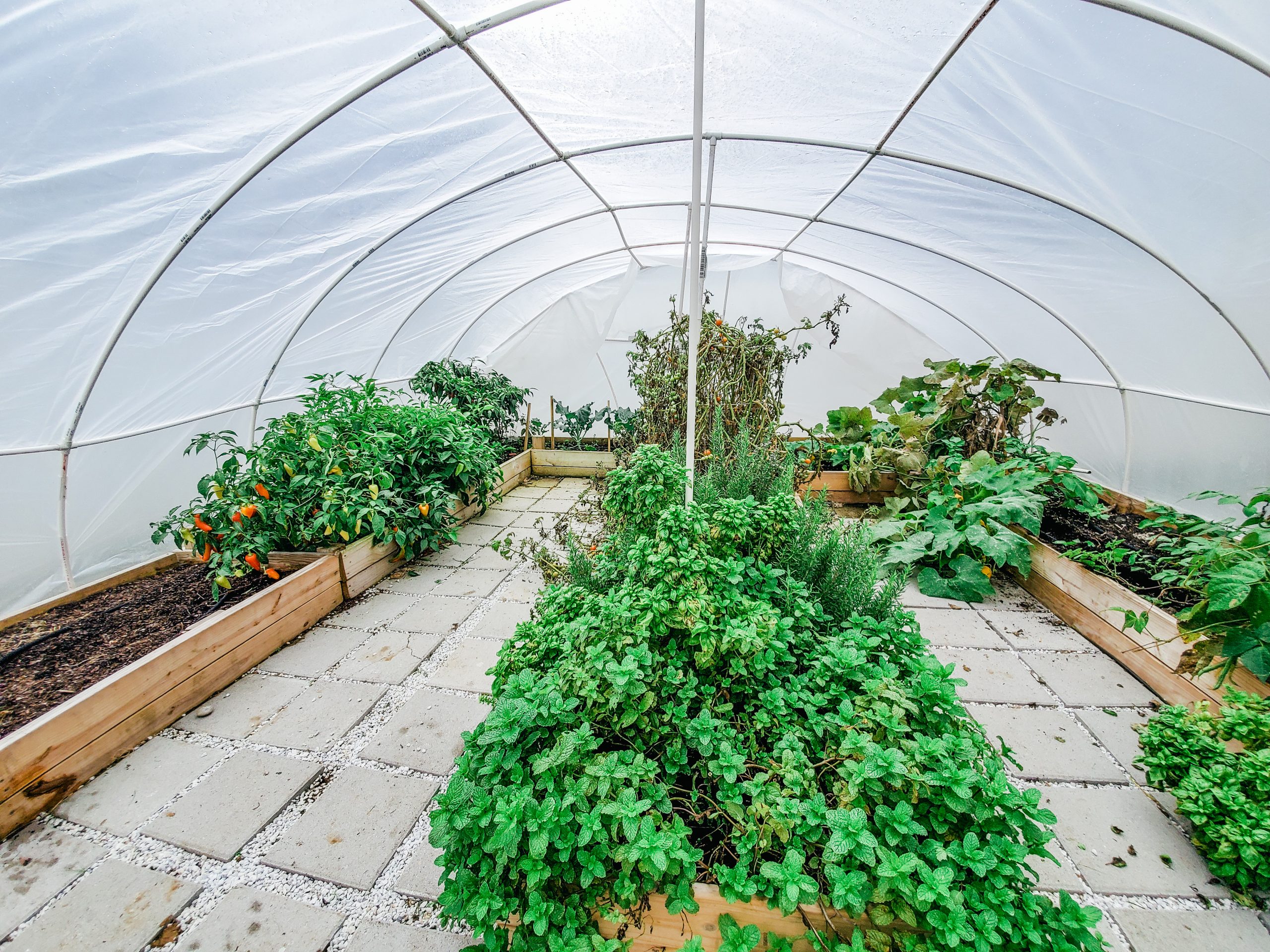 How to build your own greenhouse from scratch